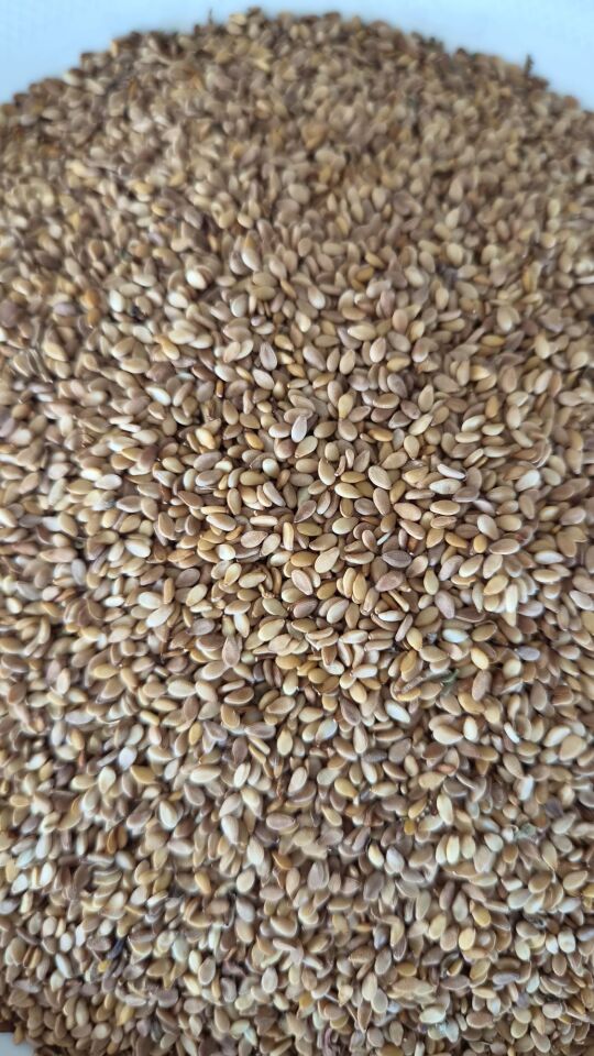 Susam 250GR