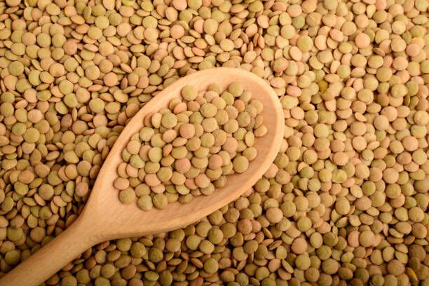 Yeşil Mercimek